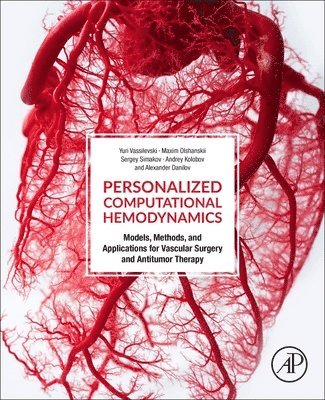 bokomslag Personalized Computational Hemodynamics