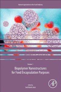 bokomslag Biopolymer Nanostructures for Food Encapsulation Purposes