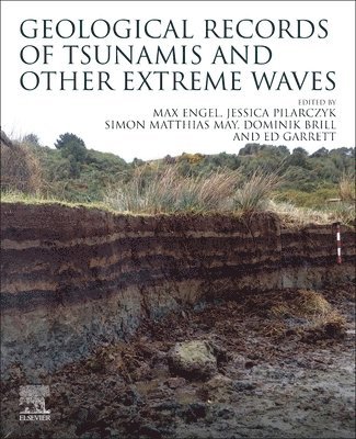 bokomslag Geological Records of Tsunamis and Other Extreme Waves