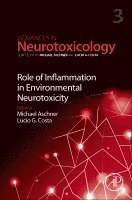 Michael Aschner, Lucio G. Costa - Role of Inflammation in Environmental Neurotoxicity, Häftad