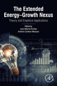bokomslag The Extended Energy-Growth Nexus