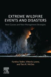 bokomslag Extreme Wildfire Events and Disasters