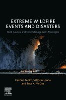 Fantina Tedim, Vittorio Leone, Tara K. McGee - Extreme Wildfire Events and Disasters, Häftad