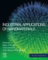 Sabu Thomas, Yves Grohens, Yasir Beeran Pottathara - Industrial Applications of Nanomaterials, Häftad