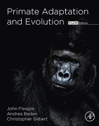 bokomslag Primate Adaptation and Evolution