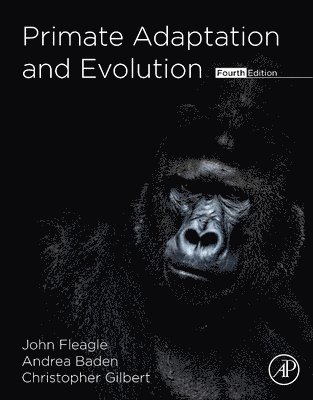 bokomslag Primate Adaptation and Evolution