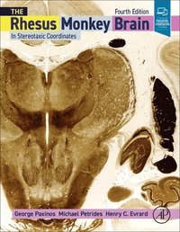 bokomslag The Rhesus Monkey Brain in Stereotaxic Coordinates