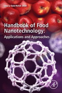 bokomslag Handbook of Food Nanotechnology