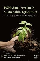Amit Kishore Singh, Pawan Kumar Singh, Ajay Kumar - PGPR Amelioration in Sustainable Agriculture, Häftad