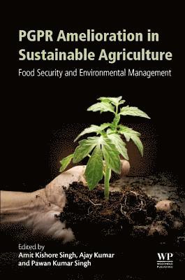 PGPR Amelioration in Sustainable Agriculture 1