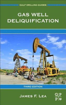 Gas Well Deliquification 1