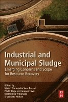 Paulo Jorge de Campos Favas, Meththika Vithanage, S.Venkata Mohan - Industrial and Municipal Sludge, Häftad