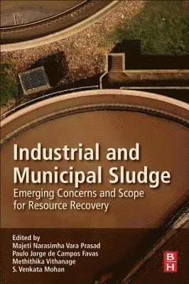 bokomslag Industrial and Municipal Sludge