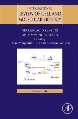 bokomslag Nucleic Acid Sensing and Immunity, Part A