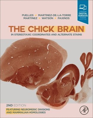 bokomslag The Chick Brain in Stereotaxic Coordinates and Alternate Stains