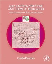 bokomslag Gap Junction Structure and Chemical Regulation
