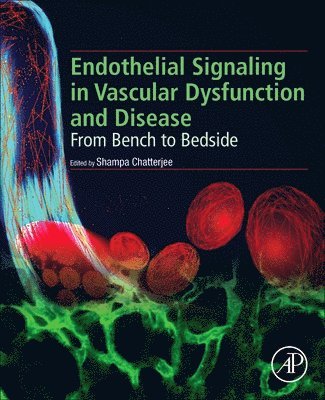 bokomslag Endothelial Signaling in Vascular Dysfunction and Disease