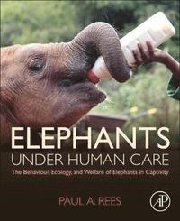bokomslag Elephants Under Human Care