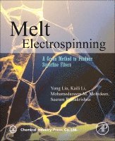 Yong Liu, Seeram Ramakrishna, Mohamedazeem M. Mohideen, Kaili Li - Melt Electrospinning, Häftad