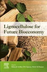 bokomslag Lignocellulose for Future Bioeconomy