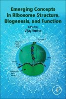 Vijay Kumar - Emerging Concepts in Ribosome Structure, Biogenesis, and Function, Häftad