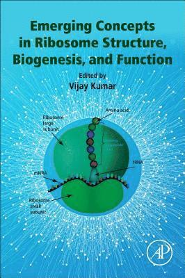 Emerging Concepts in Ribosome Structure, Biogenesis, and Function 1