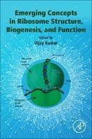 Emerging Concepts in Ribosome Structure, Biogenesis, and Function 1