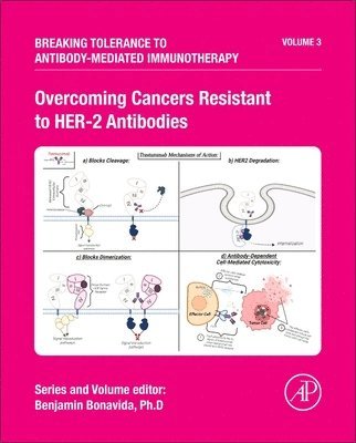 bokomslag Overcoming Cancers Resistant to HER-2 Antibodies