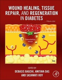 bokomslag Wound Healing, Tissue Repair, and Regeneration in Diabetes