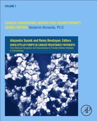 bokomslag Drug Efflux Pumps in Cancer Resistance Pathways: From Molecular Recognition and Characterization to Possible Inhibition Strategies in Chemotherapy