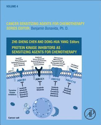 bokomslag Protein Kinase Inhibitors as Sensitizing Agents for Chemotherapy