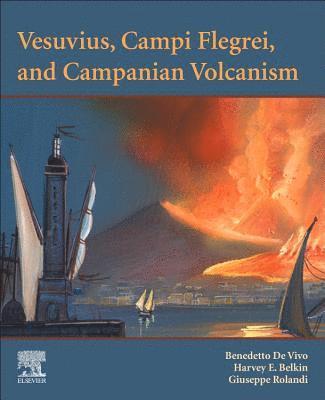 bokomslag Vesuvius, Campi Flegrei, and Campanian Volcanism