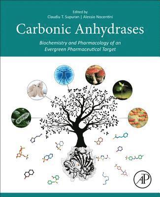 Carbonic Anhydrases 1