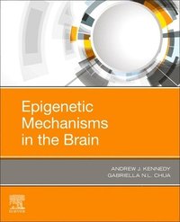 bokomslag Epigenetic Mechanisms in the Brain