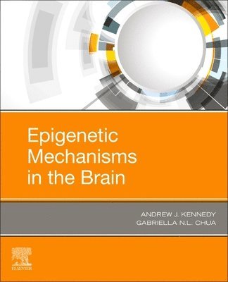 bokomslag Epigenetic Mechanisms in the Brain