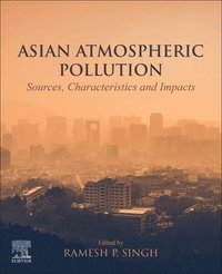 bokomslag Asian Atmospheric Pollution