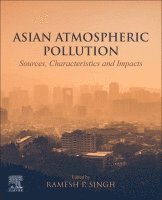 bokomslag Asian Atmospheric Pollution