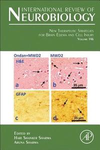 bokomslag New Therapeutic Strategies for Brain Edema and Cell Injury