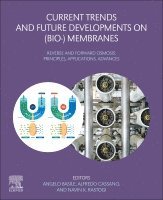 Basile,Angel, Angelo Basile, Alfredo Cassano, Navin Kumar Rastogi - Current Trends and Future Developments on (Bio-) Membranes, Häftad