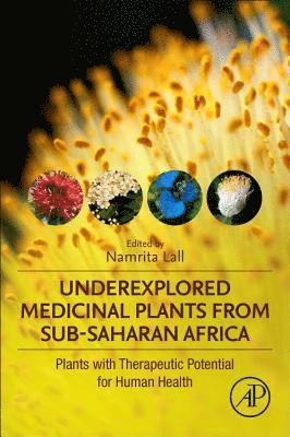 bokomslag Underexplored Medicinal Plants from Sub-Saharan Africa