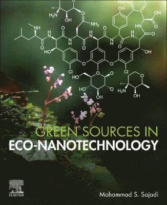 Mohammad S. Sajadi, Mohammad S Sajadi - Green Sources in Eco-Nanotechnology, Häftad