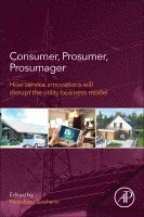 Fereidoon Sioshansi, USA) Sioshansi, Fereidoon (President, Menlo Energy Economics, San Francisco, CA, Fereidoon P. Sioshansi - Consumer, Prosumer, Prosumager, Häftad