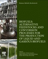 Ashok Pandey, Christian Larroche, Edgard Gnansounou, Samir Kumar Khanal, Claude-Gilles Dussap, Steven Ricke - Biomass, Biofuels, Biochemicals, Häftad