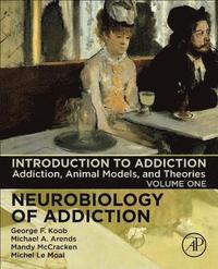 bokomslag Introduction to Addiction