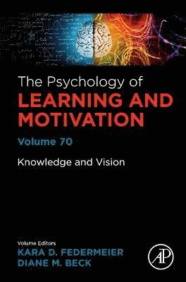 bokomslag Knowledge and Vision