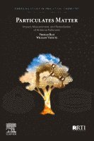 Vikram Rao, William Vizuete - Particulates Matter, Häftad