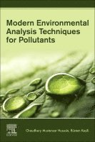 Chaudhery Mustansar Hussain, Rustem Kecili - Modern Environmental Analysis Techniques for Pollutants, Häftad