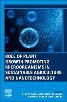 Ajay Kumar, Amit Kishore Singh, Krishna Kumar Choudhary - Role of Plant Growth Promoting Microorganisms in Sustainable Agriculture and Nanotechnology, Häftad