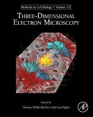 bokomslag Three-Dimensional Electron Microscopy