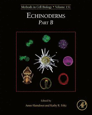 bokomslag Echinoderms Part B